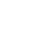 performance and audit review